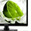 TV & Monitor